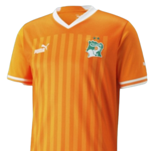 Maillot officiel
