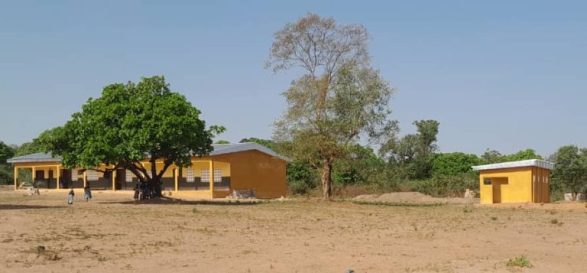 1001159636-e1768473702834-768x357