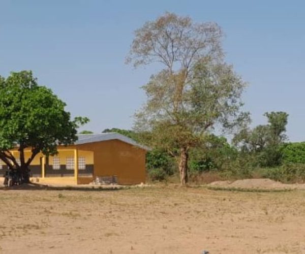 1001159636-e1768473702834-768x357