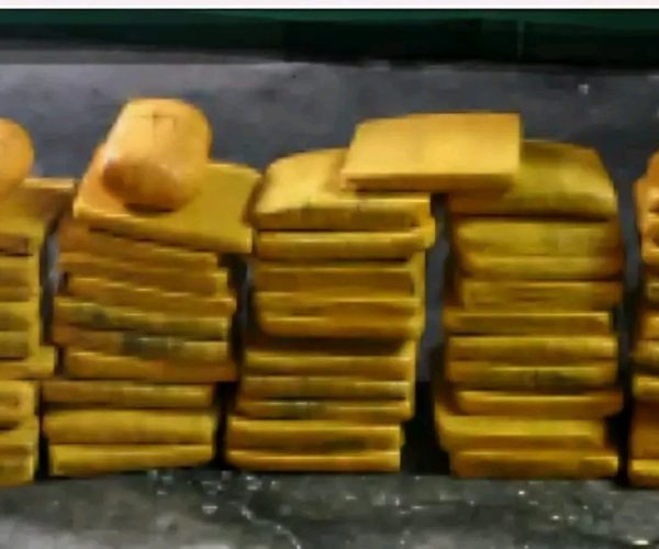 1775752528352_edit_194653815108921