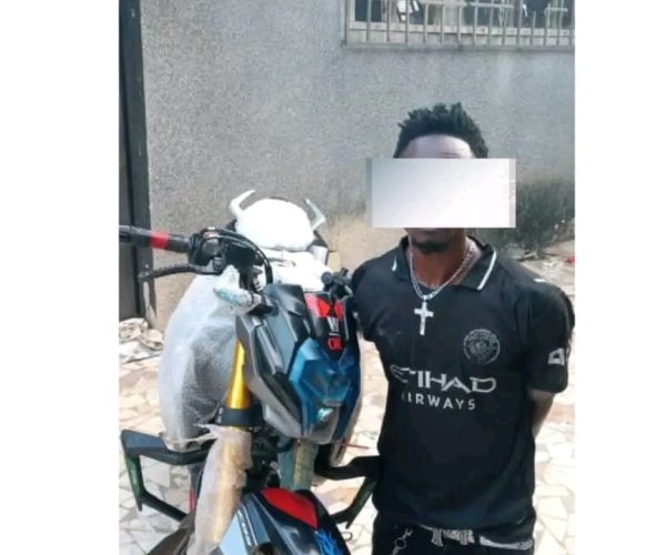 595631690_1351039743734451_5208884518341623518_n