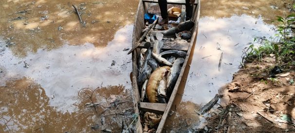 684326128_1375037614659406_6068219595041796211_n