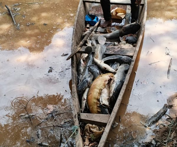 684326128_1375037614659406_6068219595041796211_n