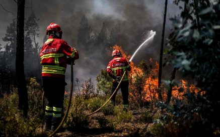 TOPSHOT - Firefighters battle a wildfire in Carrascal, Proenca a Nova on August 6, 2023. More than 1,000 firefighters battled a wildfire in central Portugal today as officials warned that thousands of hectares were at risk amid soaring temperatures across the country. (Photo by Patricia DE MELO MOREIRA / AFP)
