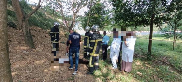 FB_IMG_1772727494684