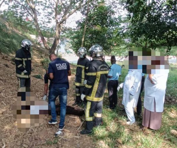 FB_IMG_1772727494684