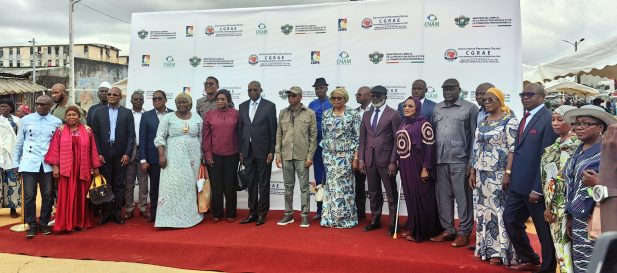 IMG_20260423_135203_edit_17650569900557