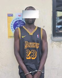 WhatsApp Image 2025-10-21 à 12.27.14_69a009bf