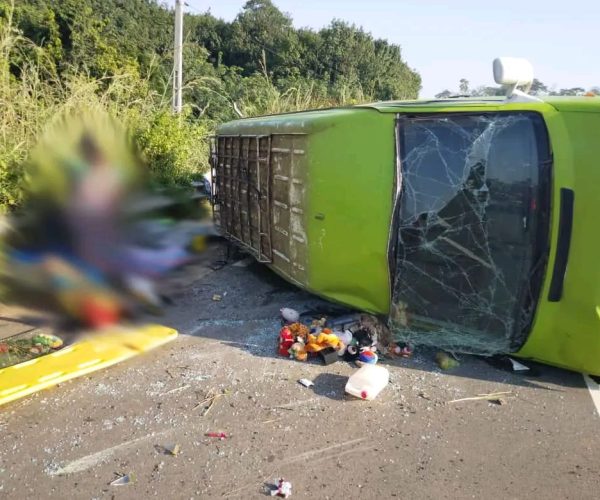 WhatsApp Image 2025-11-28 at 17.16.25