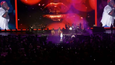 WhatsApp Image 2025-12-01 at 12.13.47