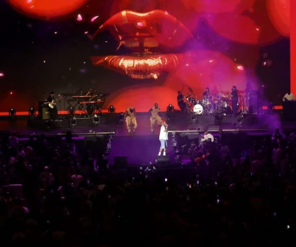 WhatsApp Image 2025-12-01 at 12.13.47