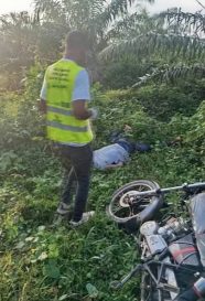 WhatsApp Image 2025-12-01 at 20.13.01