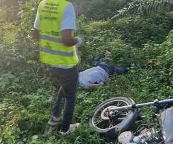 WhatsApp Image 2025-12-01 at 20.13.01