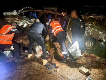 WhatsApp Image 2025-12-15 at 10.42.59