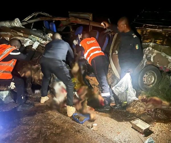 WhatsApp Image 2025-12-15 at 10.42.59