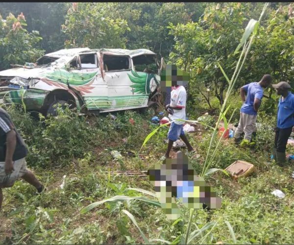 WhatsApp Image 2026-01-16 at 15.32.40