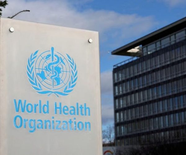 WhatsApp Image 2026-01-23 at 14.13.41