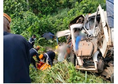 WhatsApp Image 2026-02-08 at 18.44.42