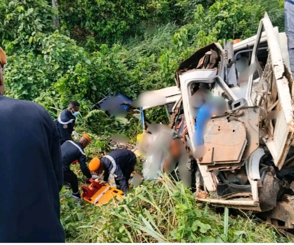 WhatsApp Image 2026-02-08 at 18.44.42