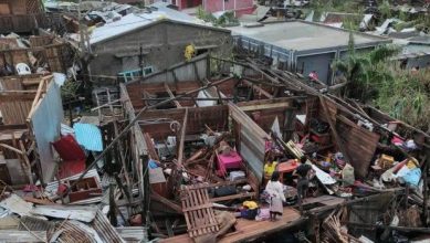 WhatsApp Image 2026-02-11 at 18.02.39