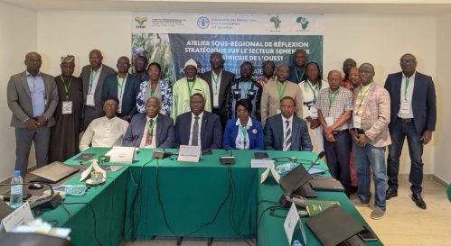 WhatsApp Image 2026-02-12 at 19.28.15