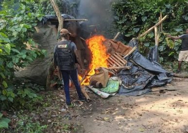 WhatsApp Image 2026-02-17 at 16.22.34 (1)