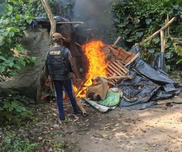 WhatsApp Image 2026-02-17 at 16.22.34 (1)