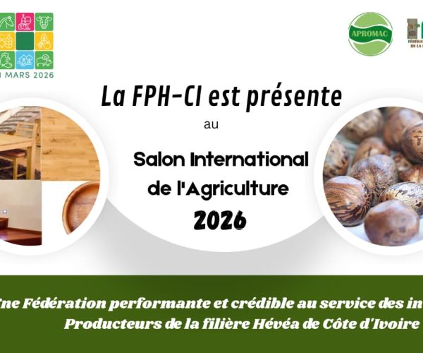 WhatsApp Image 2026-02-22 at 11.53.18