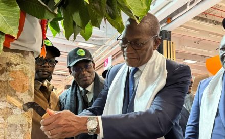 WhatsApp Image 2026-02-25 at 15.25.08