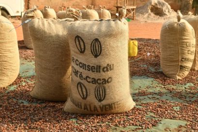 WhatsApp Image 2026-03-05 at 12.27.40