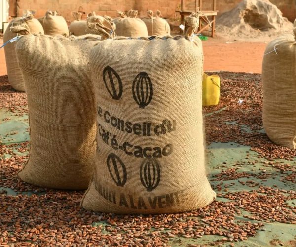 WhatsApp Image 2026-03-05 at 12.27.40