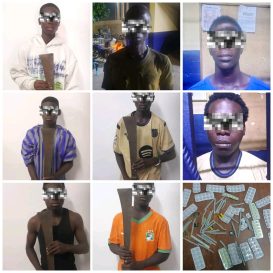 WhatsApp Image 2026-03-27 at 13.31.48