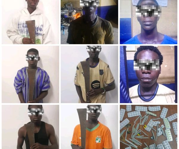 WhatsApp Image 2026-03-27 at 13.31.48