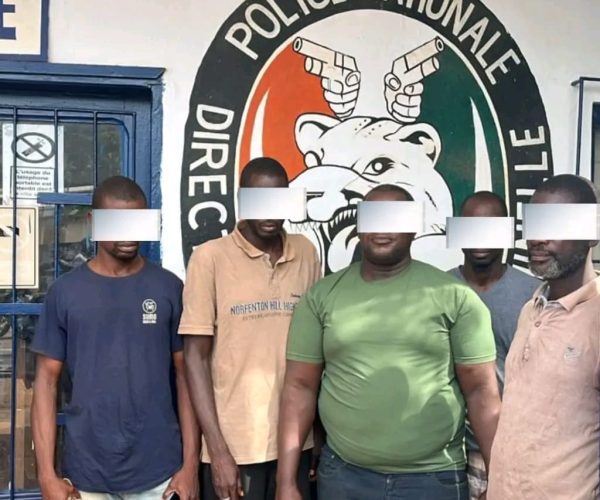 WhatsApp Image 2026-04-01 at 17.41.18