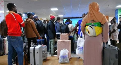 migrants